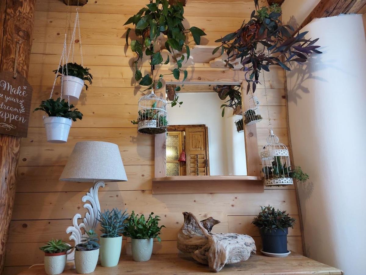 B&B Sognoincadore Domegge di Cadore Exteriör bild