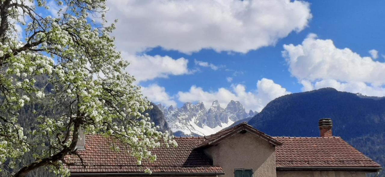 B&B Sognoincadore Domegge di Cadore Exteriör bild