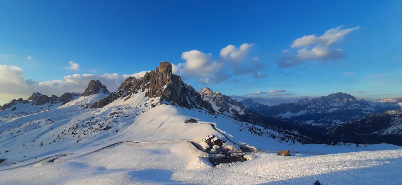 B&B Sognoincadore Domegge di Cadore Exteriör bild