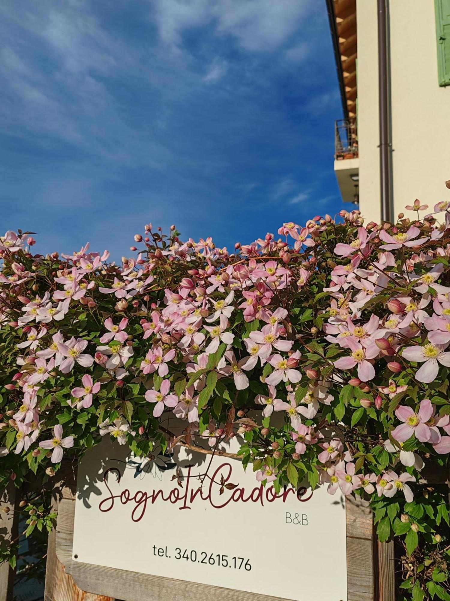 B&B Sognoincadore Domegge di Cadore Exteriör bild
