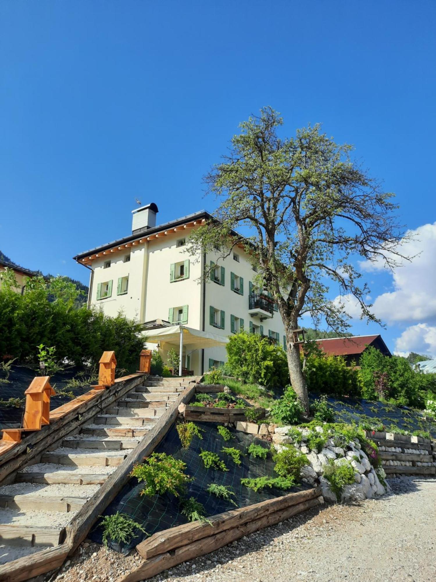 B&B Sognoincadore Domegge di Cadore Exteriör bild