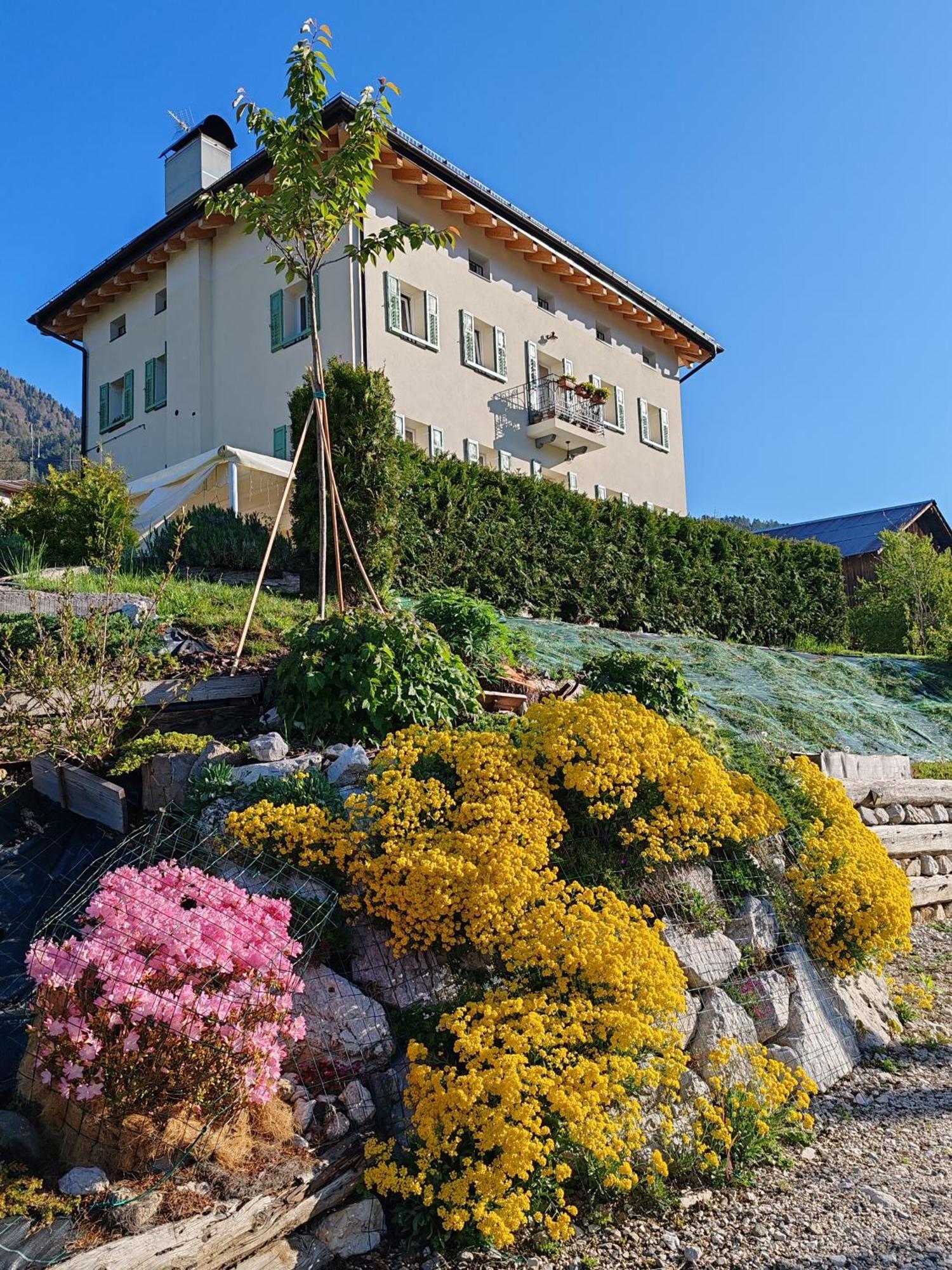 B&B Sognoincadore Domegge di Cadore Exteriör bild